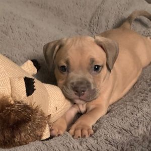 Meet your Posher, Nathalie